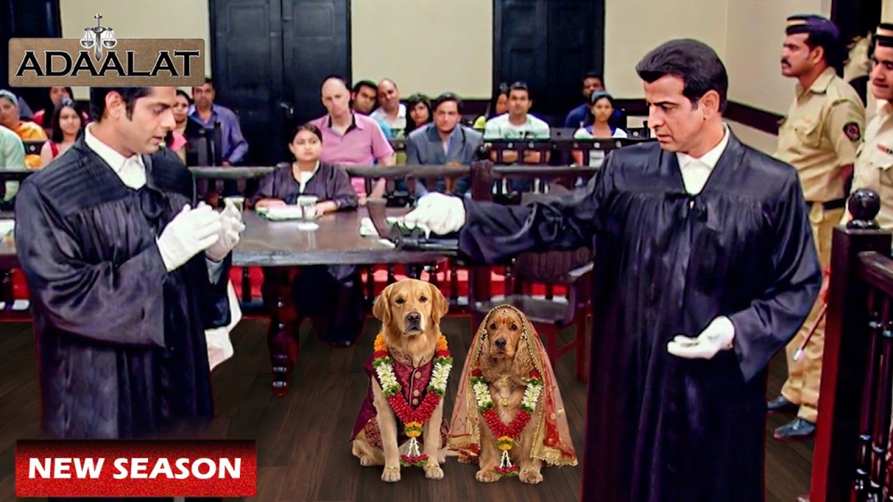 दो कुत्तों की शादी का अजीब Case आया KD Pathak के पास, KD Pathak हुए हैरान | Adalat Latest Episodes
