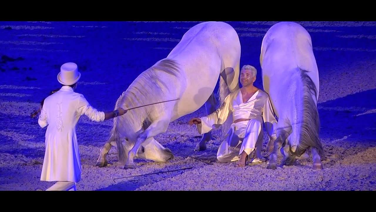 Gala d'Oro Fieracavalli 2019 - Virtuoso Artale e Alex Giona - Never Enough