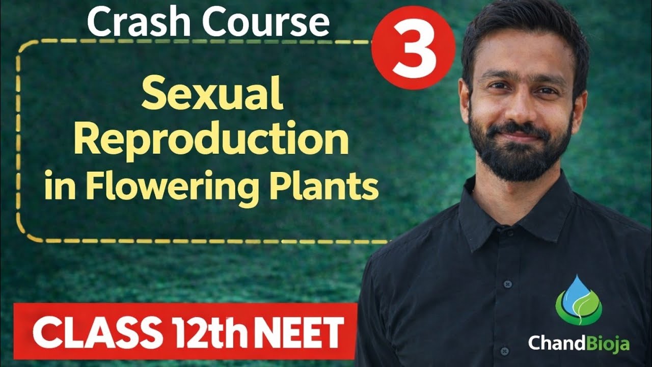 Sexual reproduction in flowering plants |  NEET  | Crash Course |  RBR-Series | By Chandan Sir  