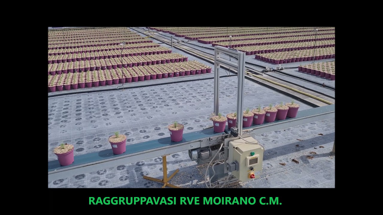 Distanziatore ad inverter per vasi RVE Moirano  - Group pots, accessory RVE
