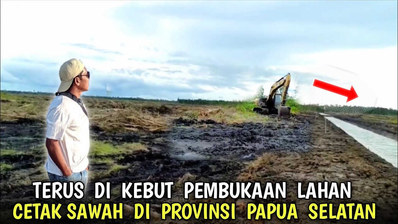 Semakin luas❗Pembukaan lahan cetak sawah di Merauke provinsi Papua selatan