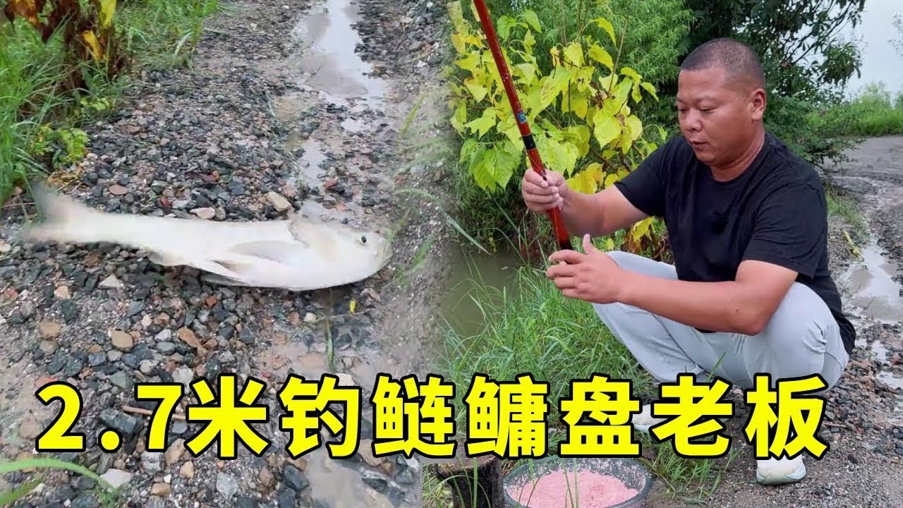 黑坑水库盘嚣张老板，极限一小时上百斤大鱼！老板当场黑脸！【鲫鱼大叔】