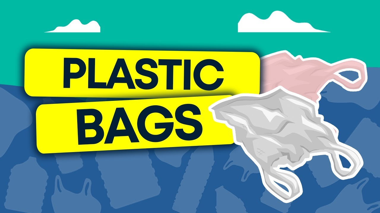 plastic | environmental disaster | online education