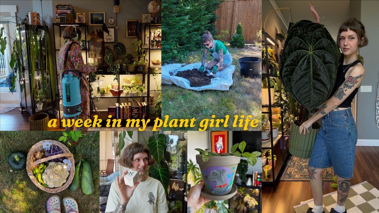 a special package, cozy watering evening, & a summer garden harvest 🧺🪴☁️