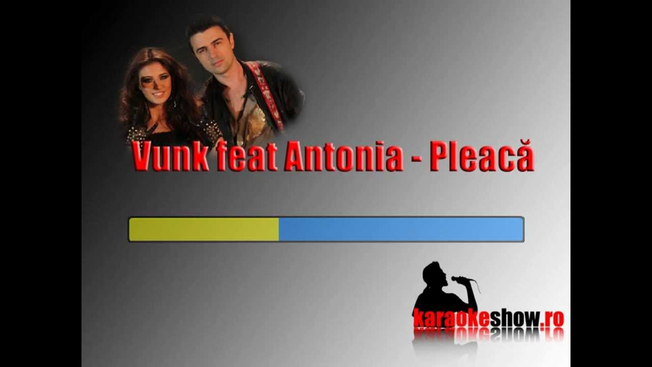Vunk feat Antonia - Pleaca (karaoke).mp4