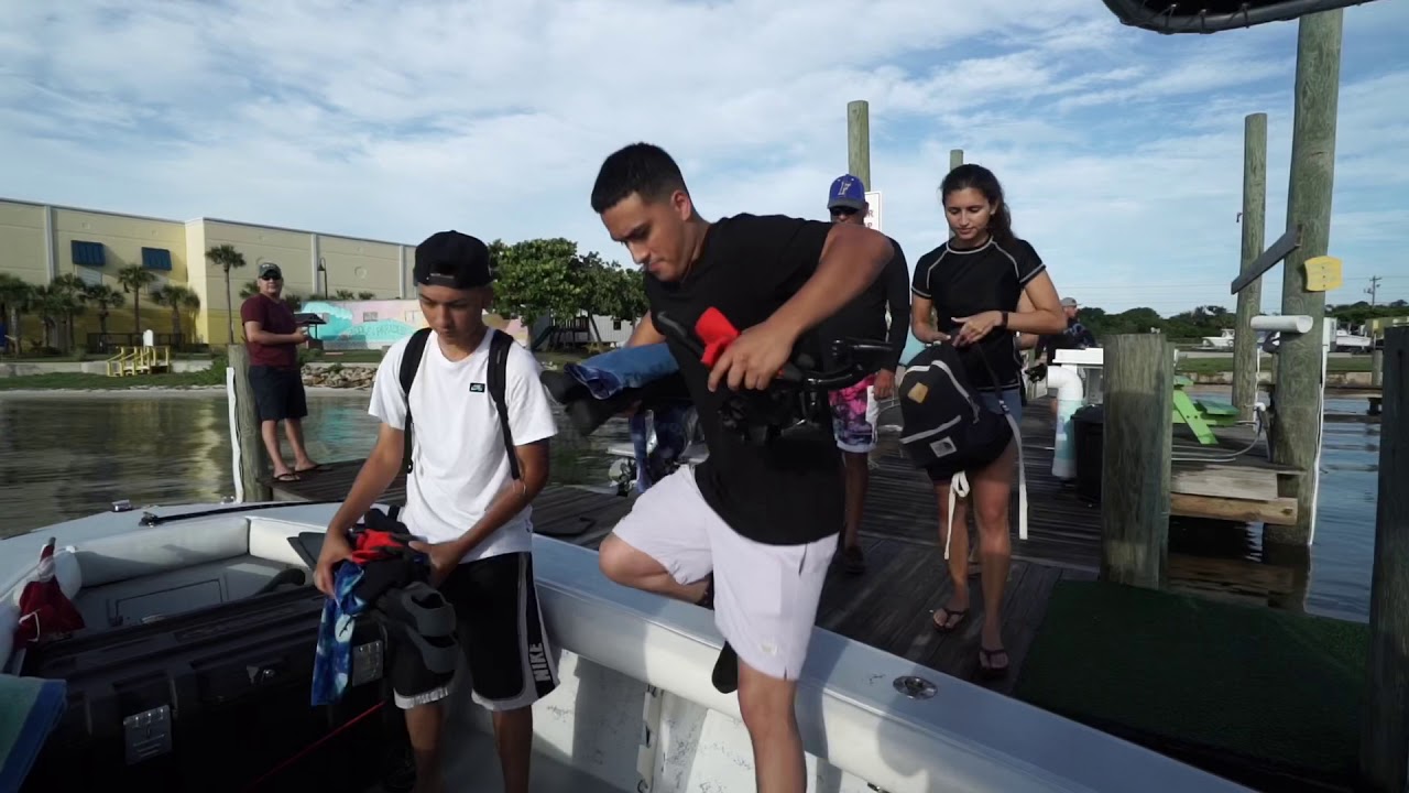 Bull shark diving with &ldquo;Shark Addicts&rdquo;