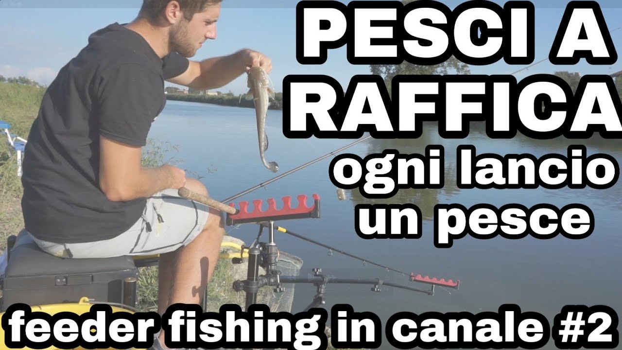 PESCI A RAFFICA #2 feeder fishing in canale