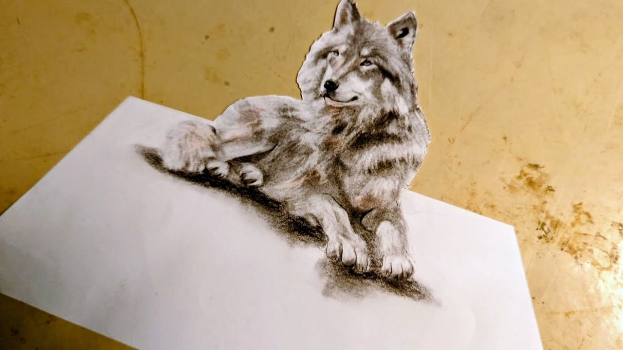 3D Drawing | How to Draw a wolf  | @3MAANA 