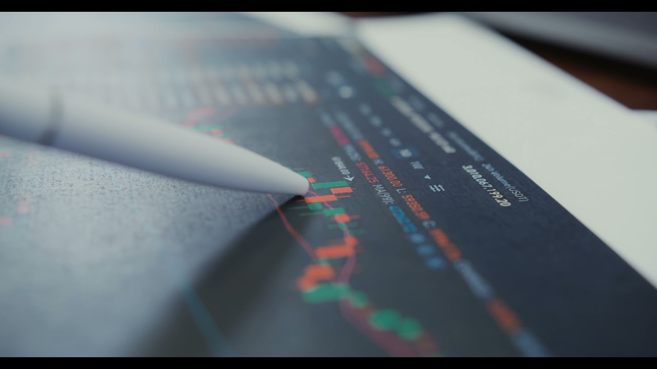 Stock Market | Analyzing The Stocks | 4K Free Stock Videos | Royalty Free Stock Footage