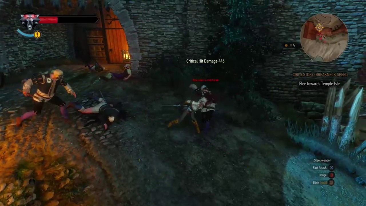 The Witcher 3 Wild Hunt - Ciri combat