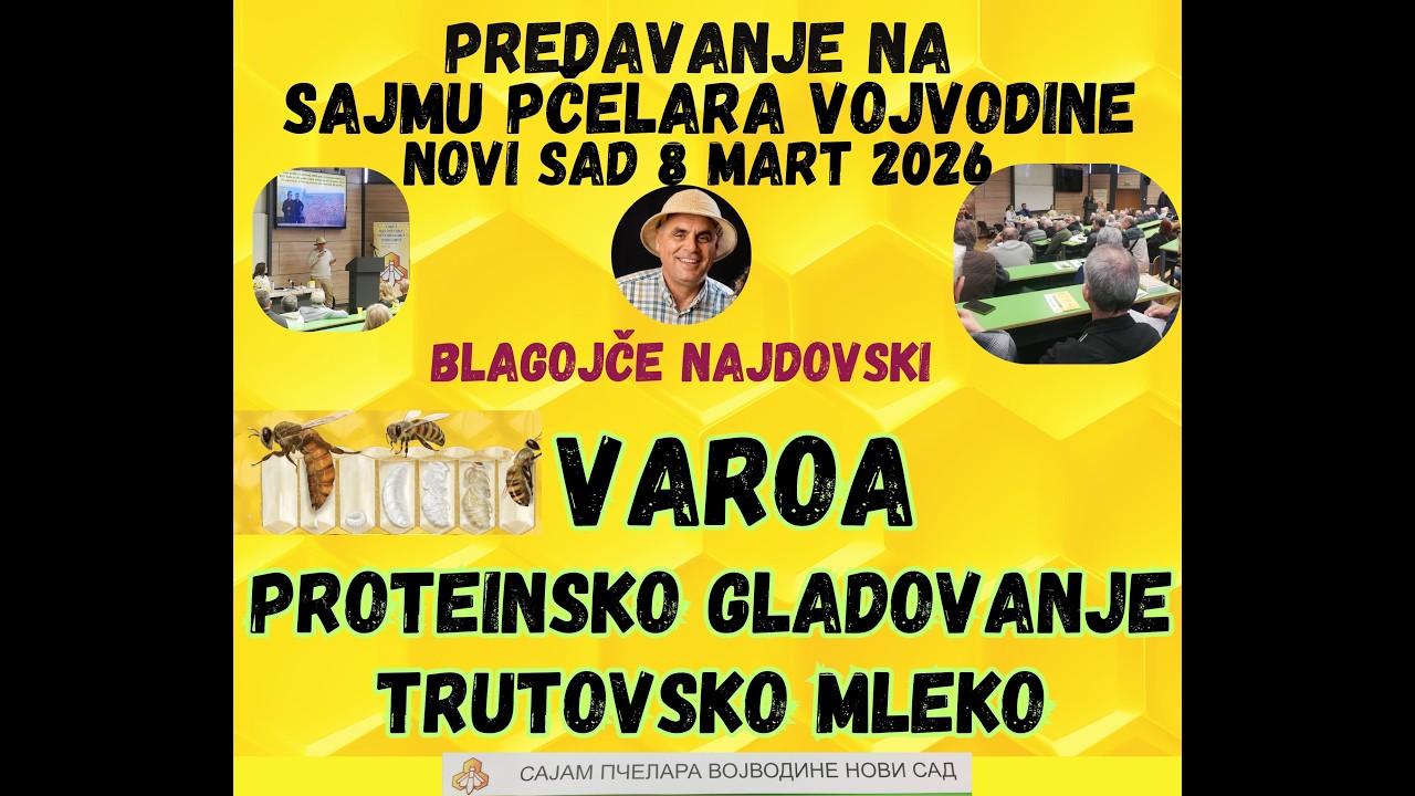 VAROA - PROTEINSSKO GLADOVANJE - TRUTOVSKO MLEKO