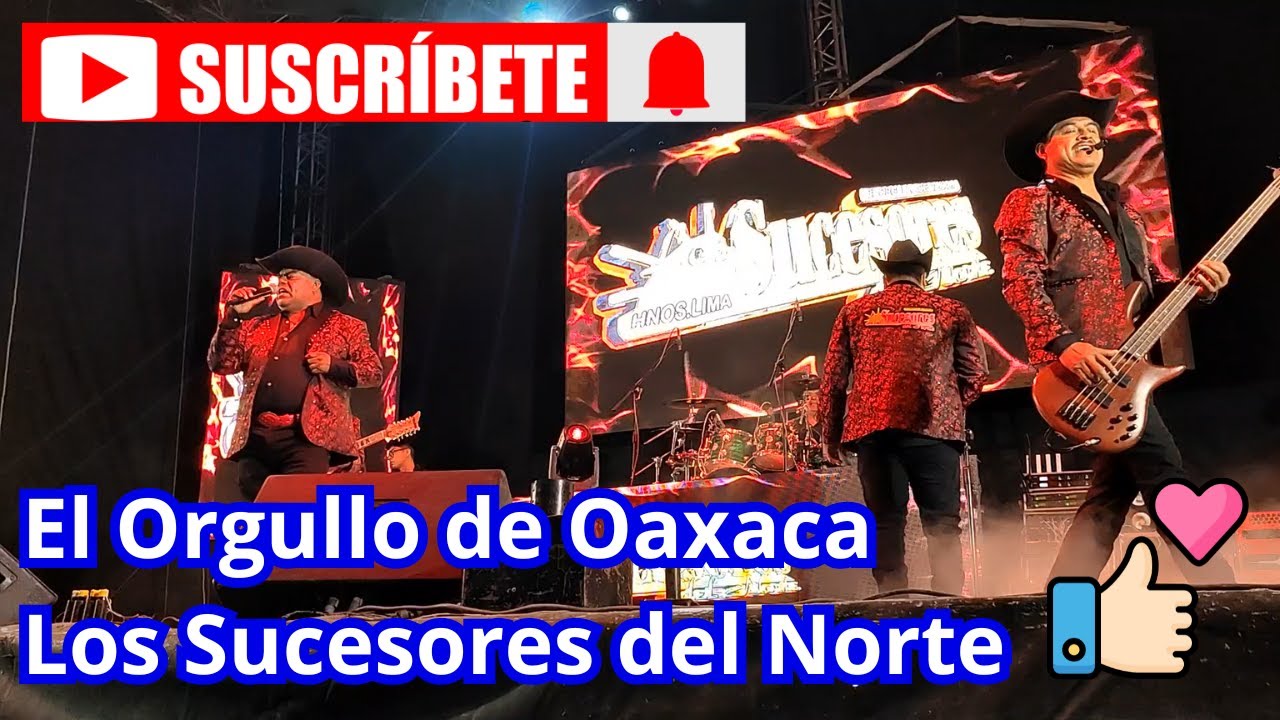 Pista llena con Los Sucesores del Norte en Petlalcingo Puebla 2024 celebrando al Sr. del Calvario