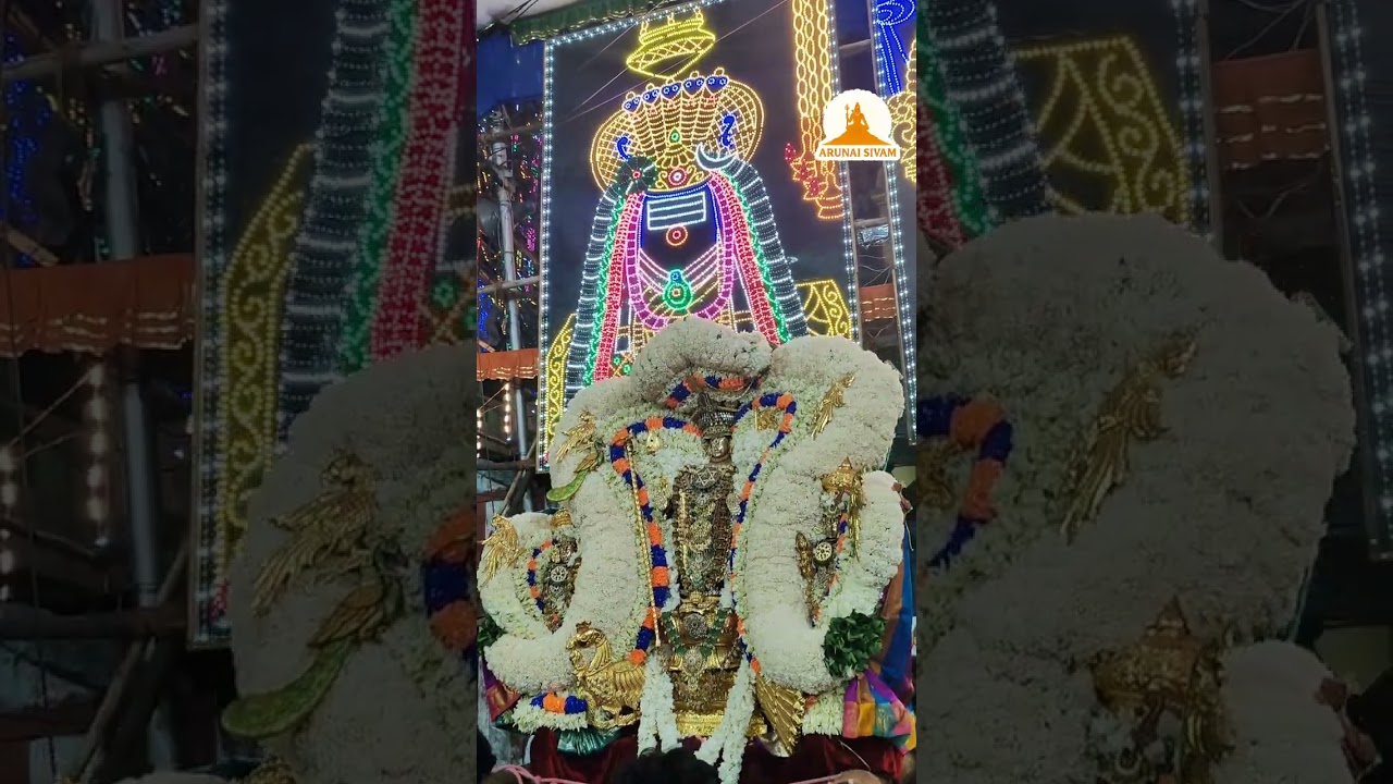 Saidapet Senguntakottam Sri Siva Subramanyaswamy Brahmotsavam 2026 Day 8 oyyali 