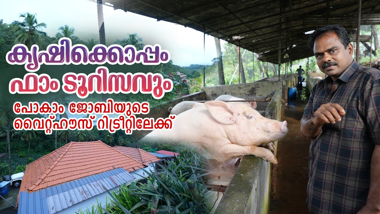 കൃഷിക്കൊപ്പം ഫാം ടൂറിസവും പോകാം ജോബിയുടെ വൈറ്റ്ഹൗസ് റിട്രീറ്റിലേക്ക്