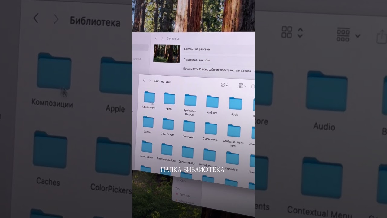 Инструкция как установить любое видео на заставку вашего #macbook #apple #лайфхаки #сервис #лайфхак