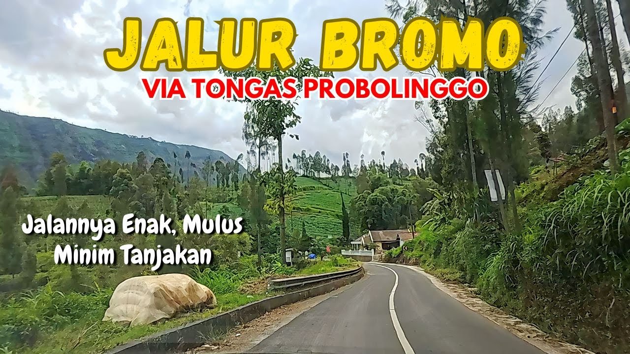 Rute Jalur ke Bromo dari Tongas Probolinggo // Transit Bawangan Resto