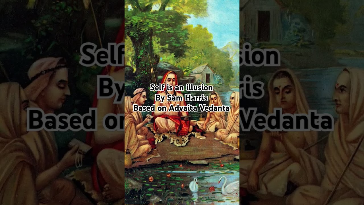 Self is an illusion, Sam Harris, Hinduism #advaitavedanta