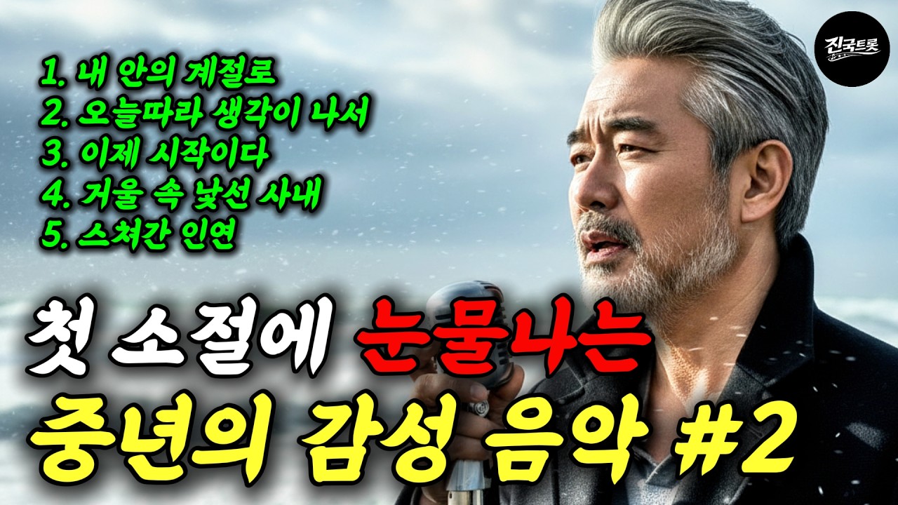 첫 소절 듣자마자 눈물 나는 중년 인생 노래｜가슴을 울리는 중년 감성 트로트 모음