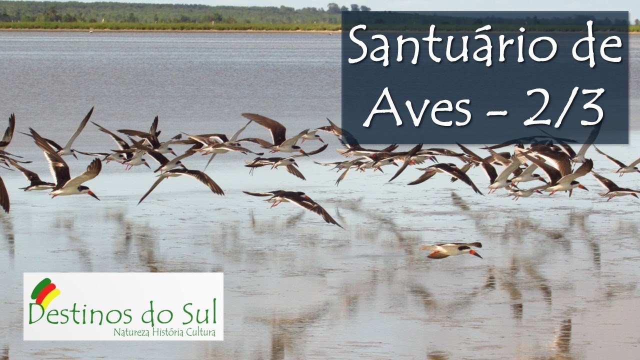 Santu&aacute;rio de Aves da Lagoa do Peixe (2/3) &ndash; Figueira