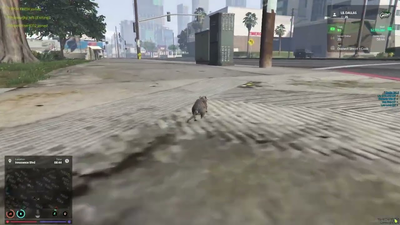 WHO RATTING GATES RP