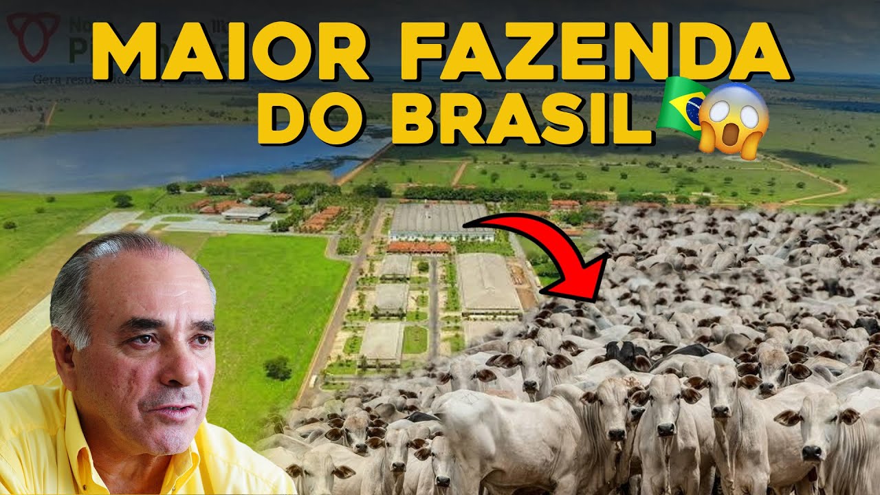CONHEÇA A MAIOR FAZENDA DO BRASIL! - Essa é a Nova Piratininga!
