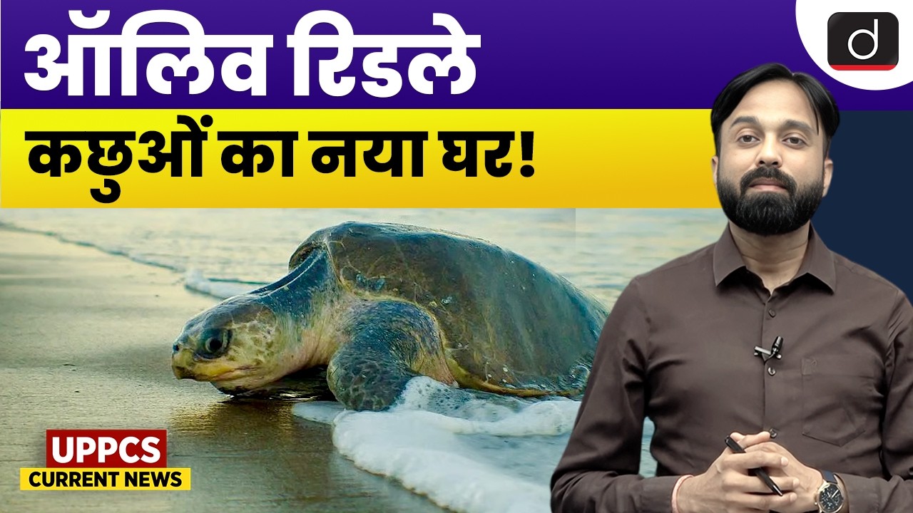 Olive Ridley Turtle Nesting | Environment Current Affairs | UPPCS Current News | Drishti UPPCS