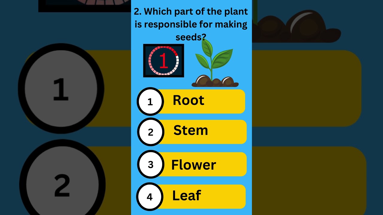 Science Quiz for Elementary Kids  #kids # colorfullearning # learning video # educational video