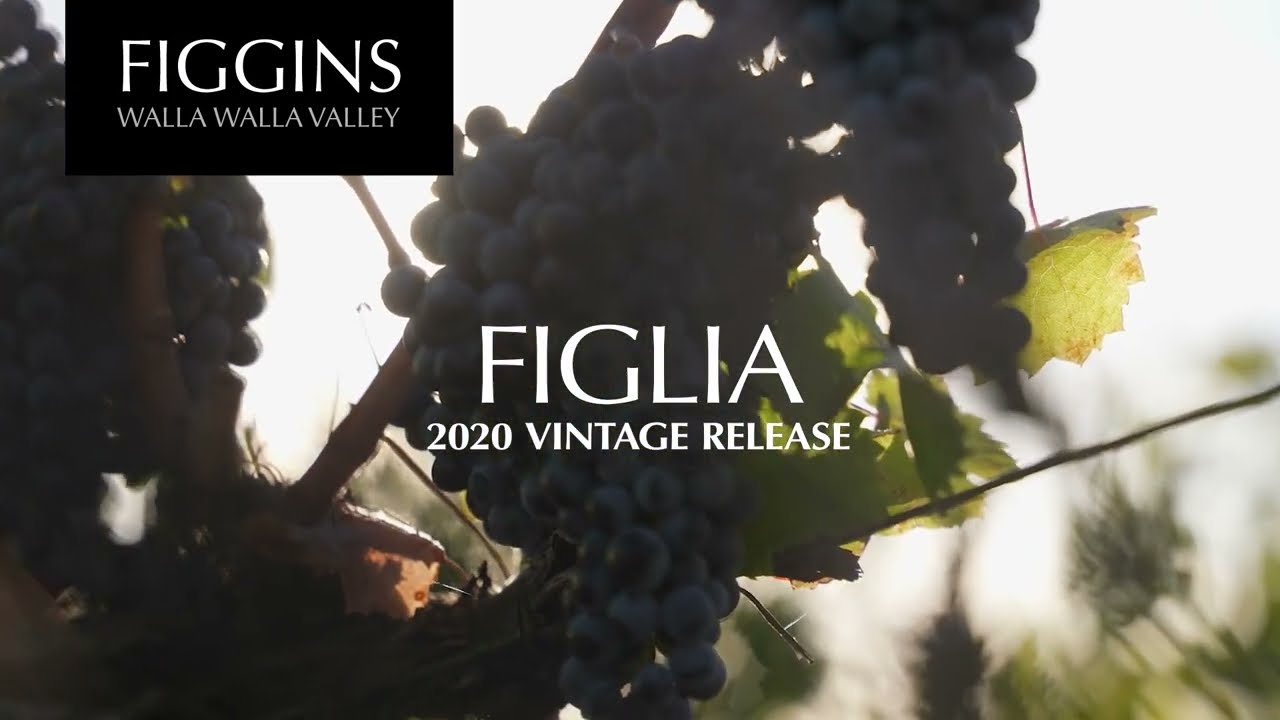 2020 FIGGINS Figlia Release