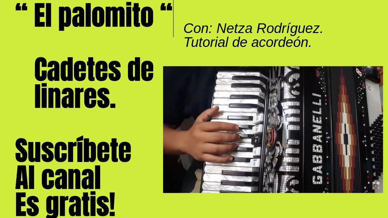 EL PALOMITO instruccional de ACORDEON de teclas  con - NETZA RODRIGUEZ.