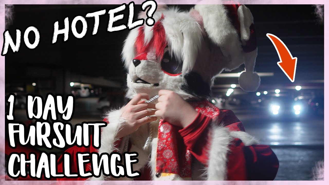 Only one day at the world's biggest furry convention? No Hotel? | MFF Midwest Furfest 2023