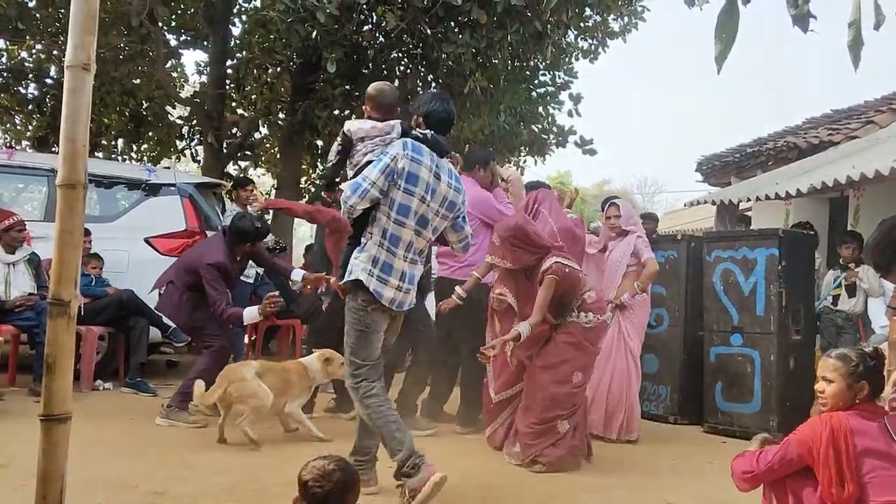 #dance #dancesong #song #funny #partysongs #sorts 🤙👌🤗🥳🤩🤪🫂👑🥰♥️💕🌹💃🕺