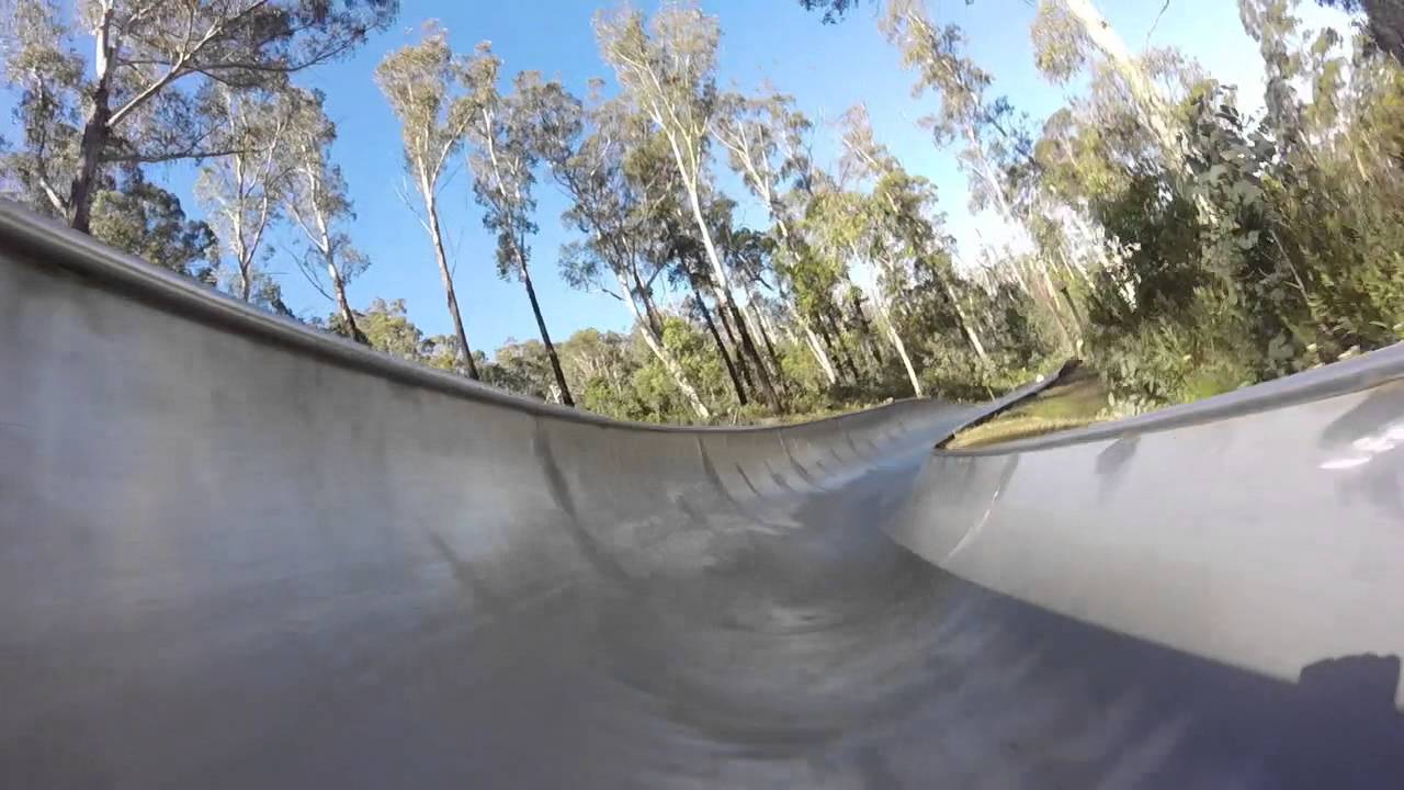Corin Forest Alpine Slide