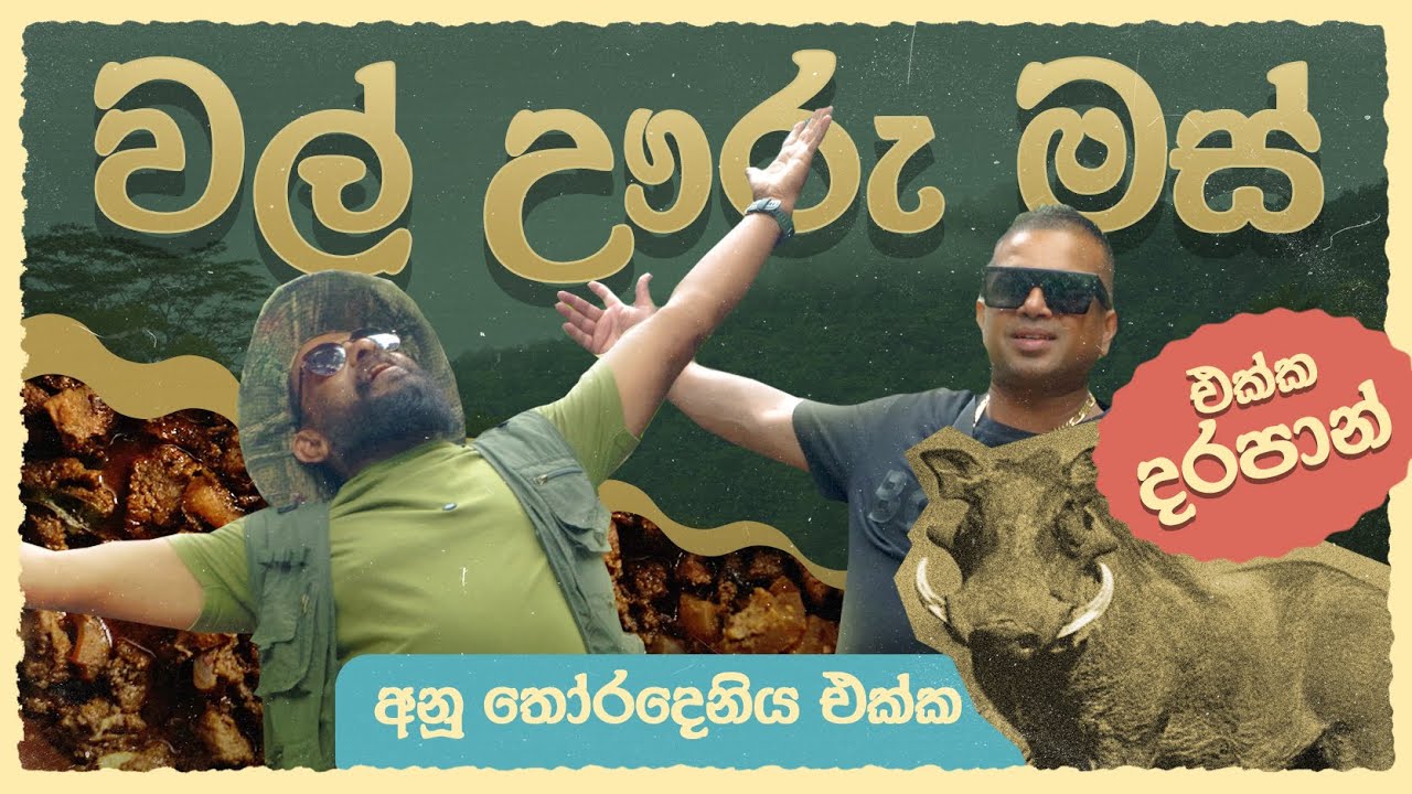වල් ඌරු මස් එක්ක දරපාන් | 🐗 Wild Boar Curry | 🇦🇺 අනූ තෝරදෙනියට 