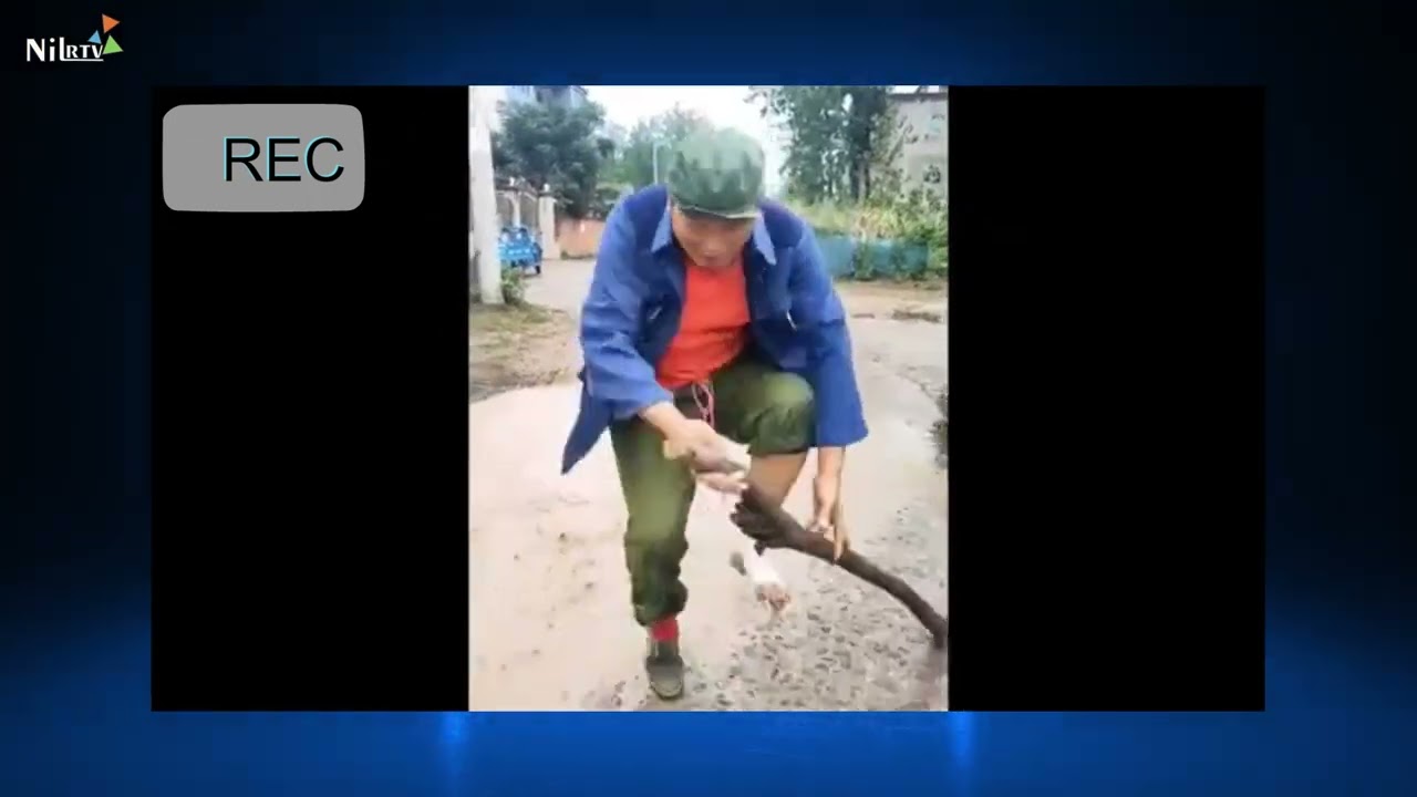 Самые смешные моменты, запечатленные на камеру | Уморительные видео, которые гарантированно заста...