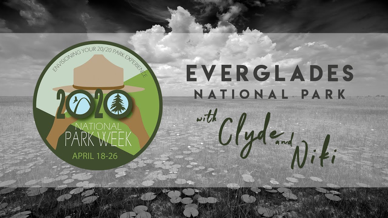 CLYDE BUTCHER: National Park Week - Everglades