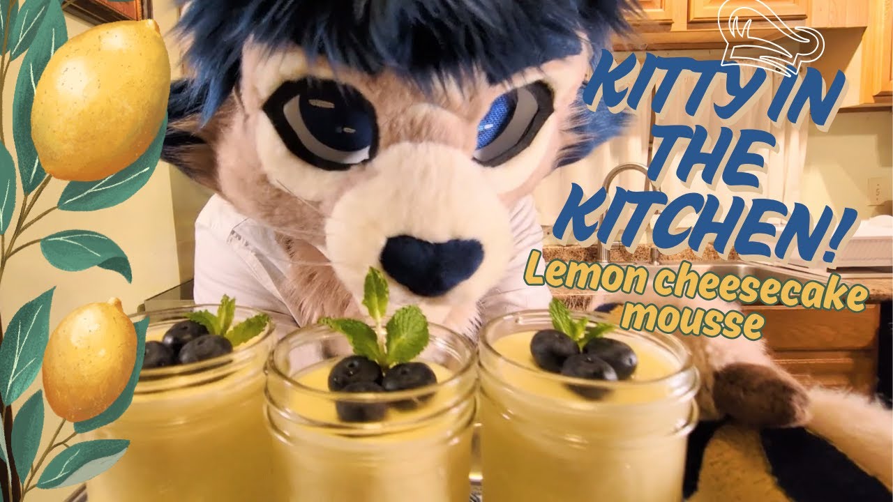 A Cat Shows You How to Make Lemon Cheesecake Mousse