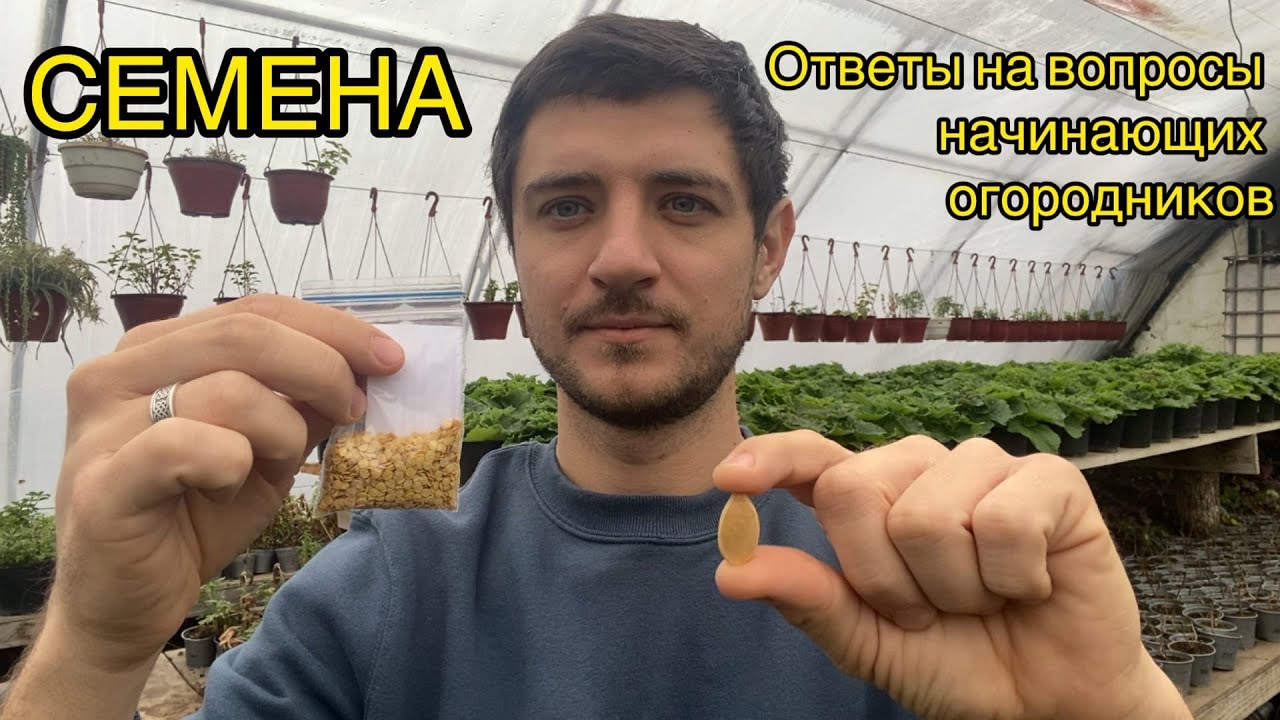 СЕМЕНА. Самые частые вопросы по семенам. Подготовка, проращивание, хранение, стратификация ...