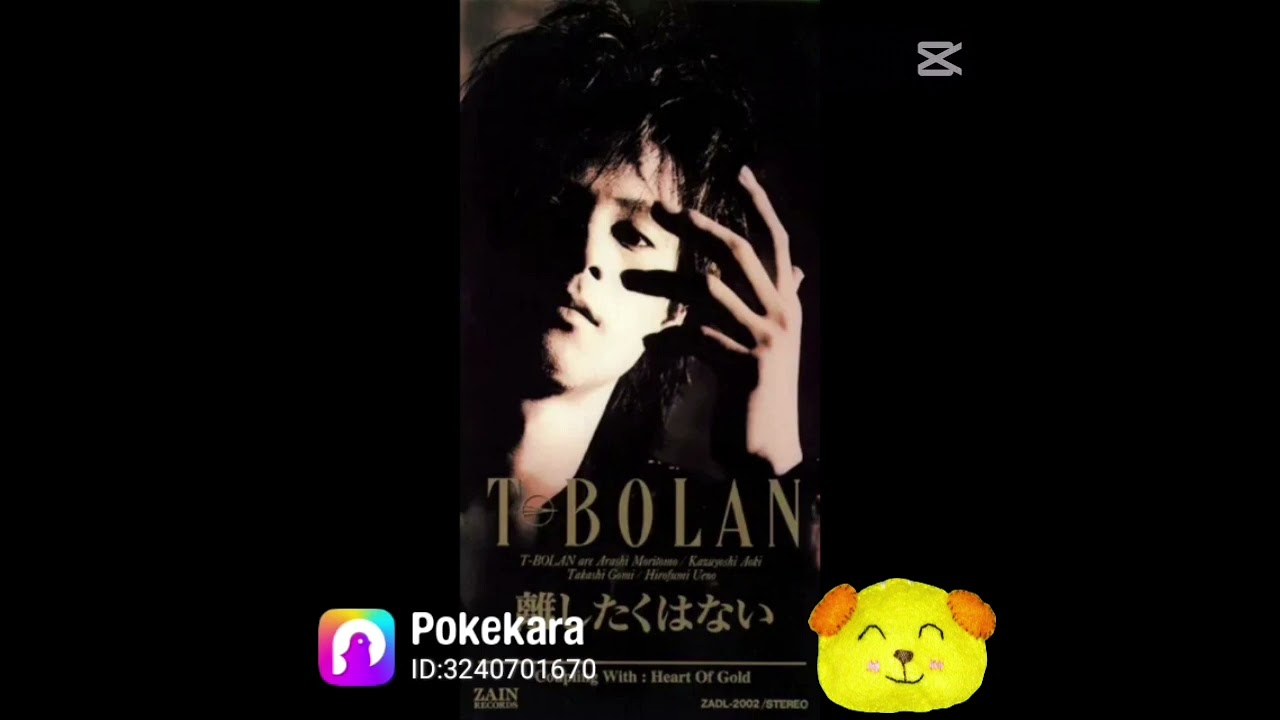離したくはない／T-BOLAN【ハスキーボイスの第一人者】