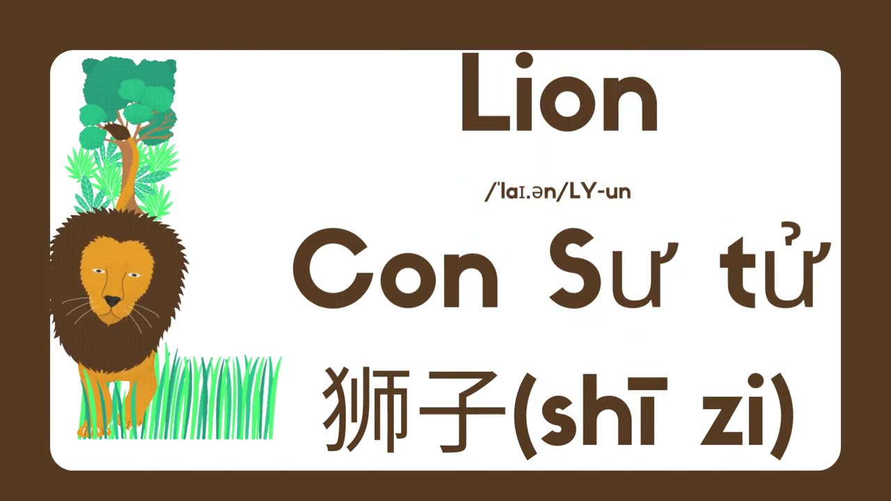 Phonics for fins and fur #english #chinese #vietnam #learnenglish