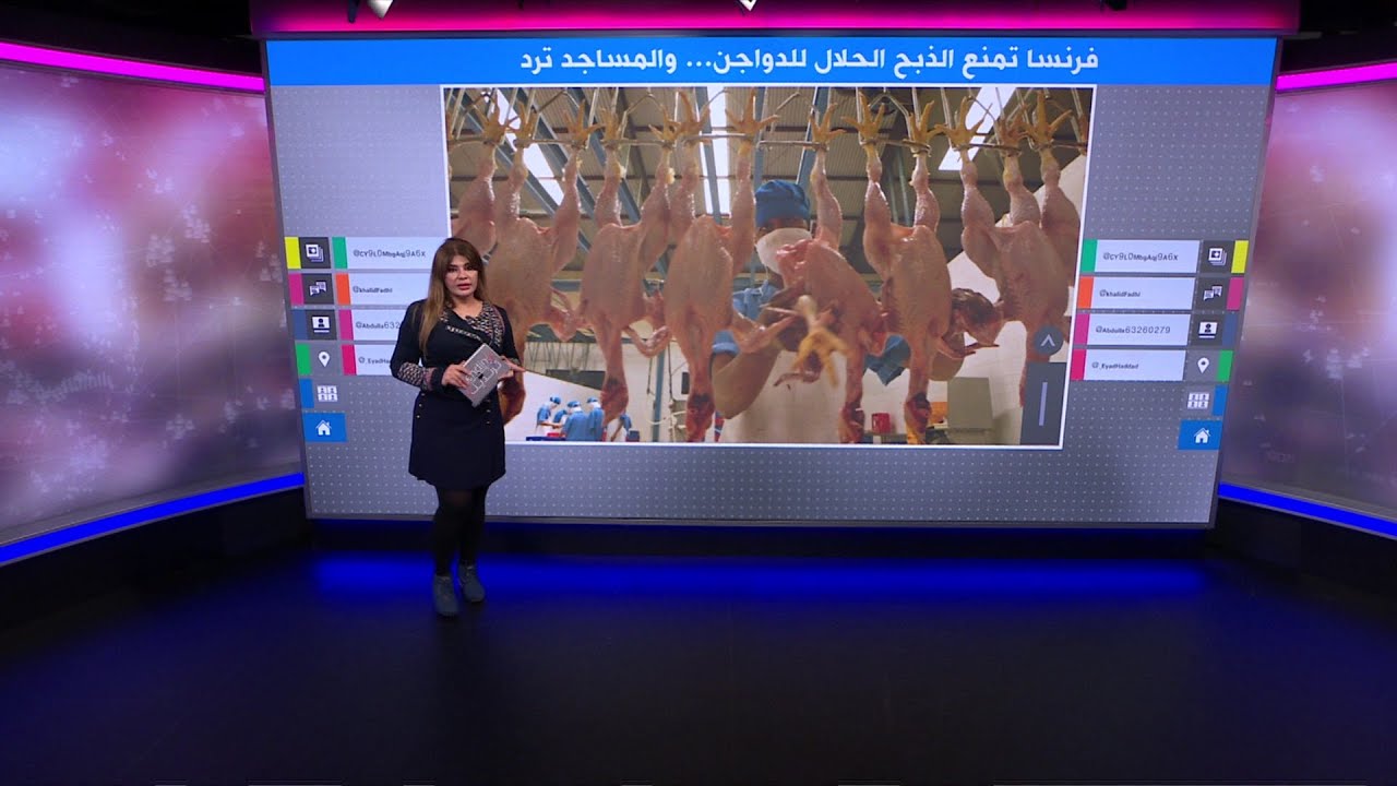 ذبح الدواجن 