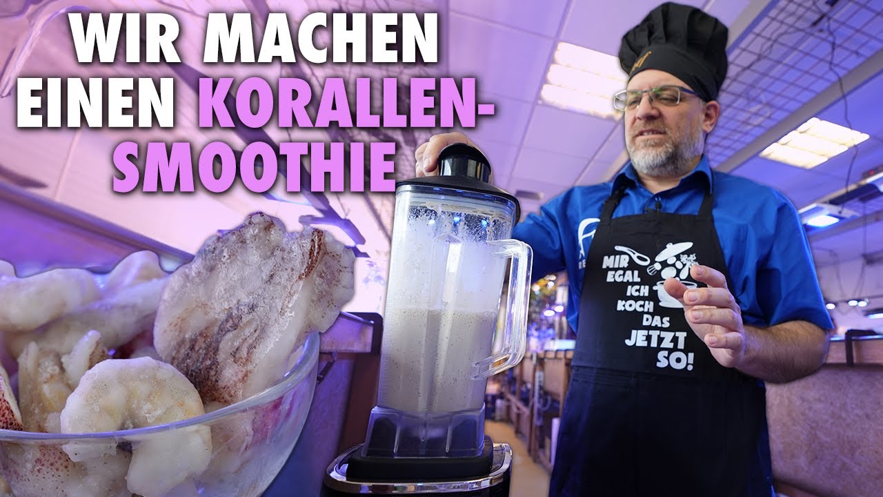 KORALLEN-SMOOTHIE selbst machen - Das Fauna Marin KOCHSTUDIO ist wieder da!
