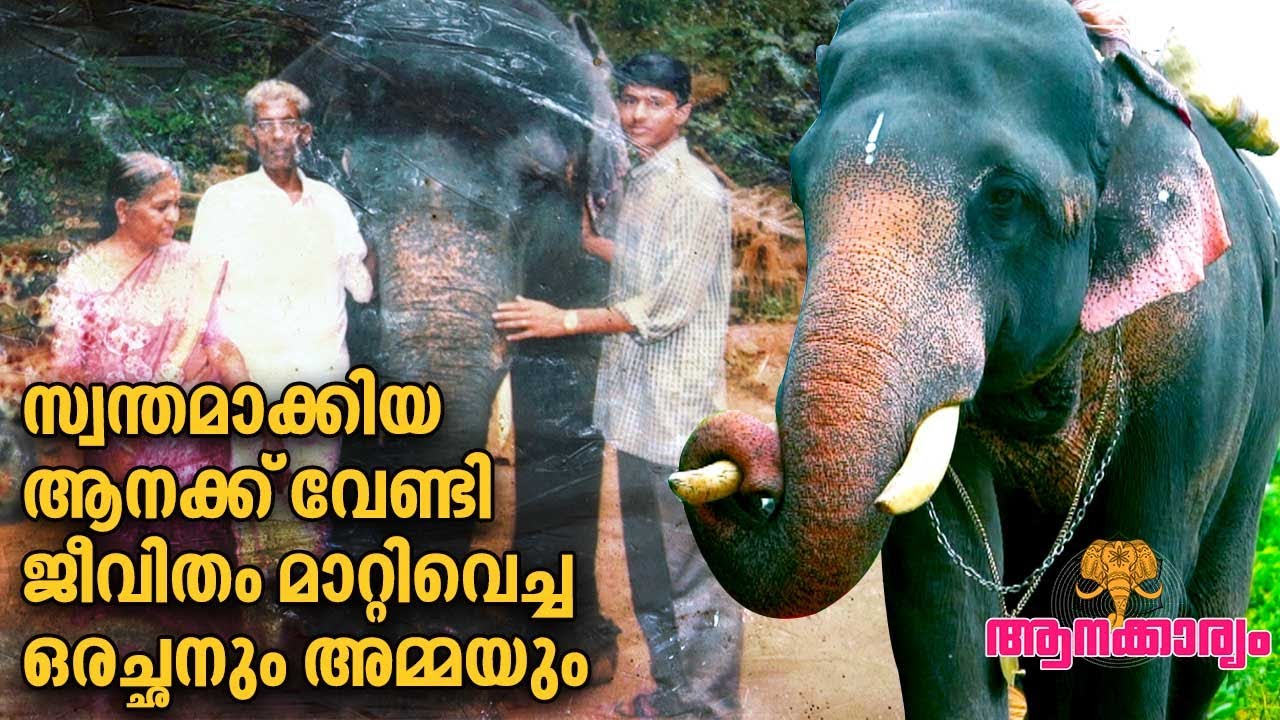 EP 26 | സ്വന്തമാക്കിയ ആനക്ക് വേണ്ടി ജീവിതം മാറ്റി വെച്ച ഒരച്ഛനും അമ്മയും | Aanakkaryam