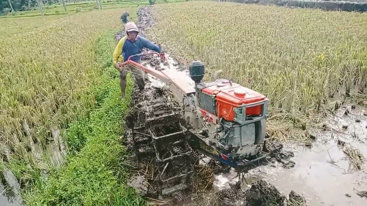 BAJAK SAWAH KREATOR PETANI MUDA