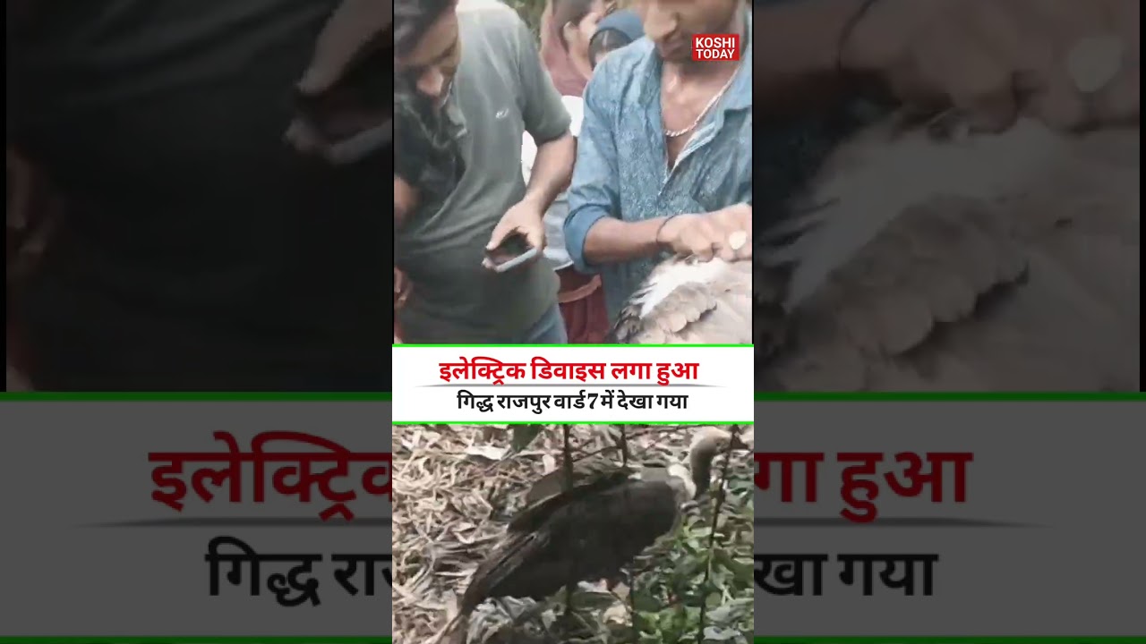 Supaul News #ytshorts #trendingshort #koshitoday