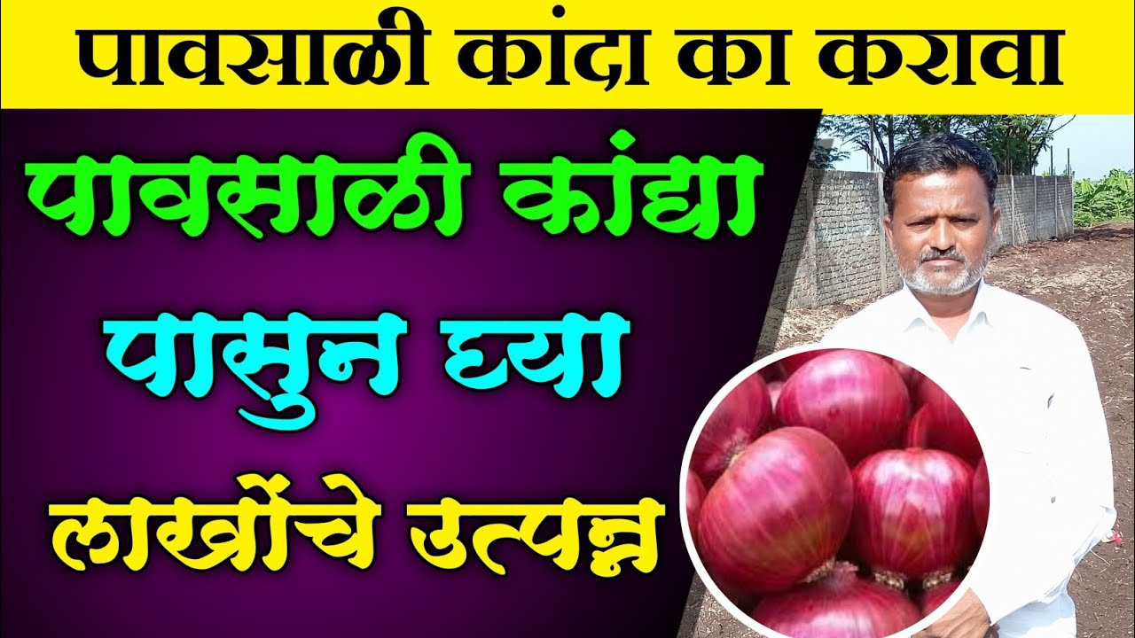 पावसाळी कांदा का करावा | पावसाळी कांद्याचे घ्या लाखोंचे उत्पन्न. pavsali Kanda laagvad