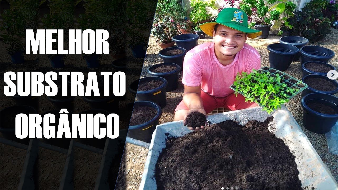 COMO FAZER SUBSTRATO PARA PLANTAS!!