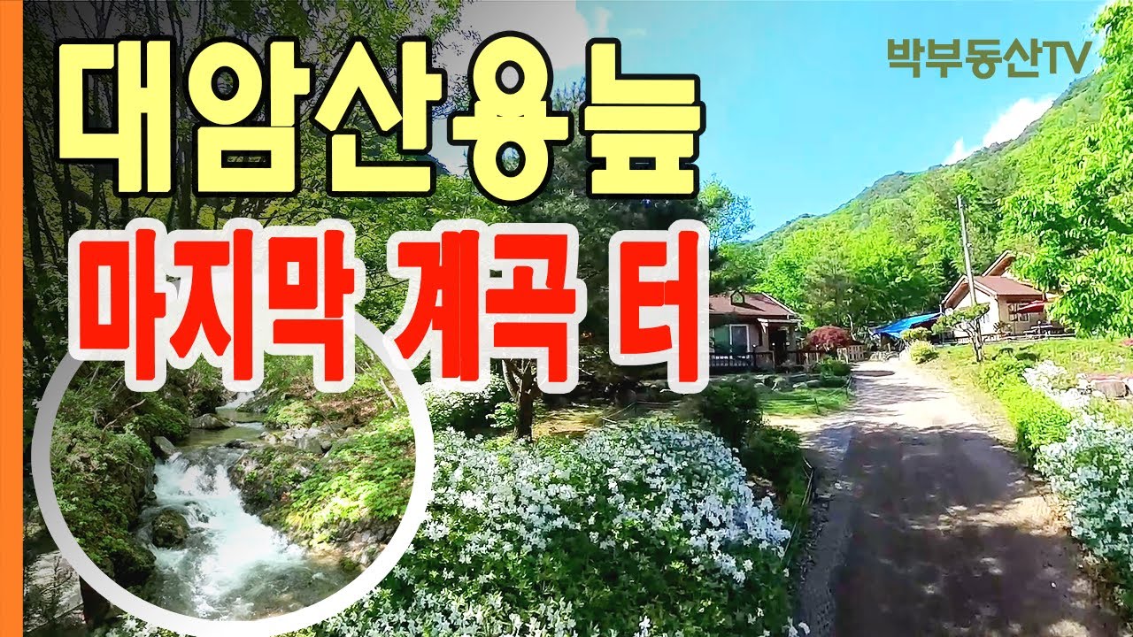 [4017]  대암산 용늪 마지막 계곡터 - 박부동산TV