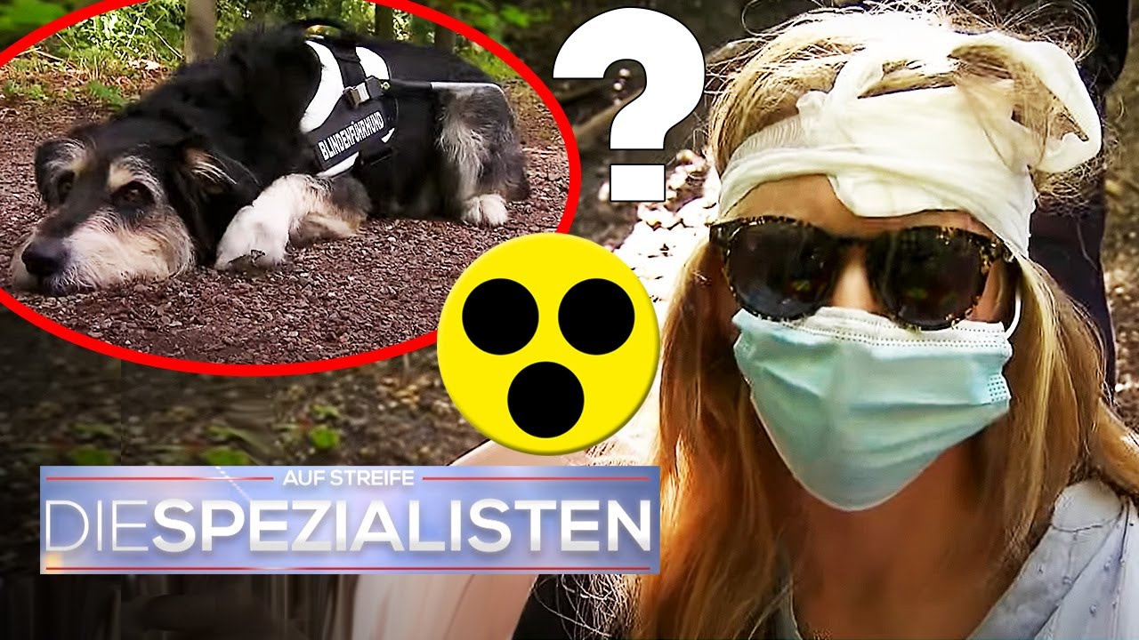 Blindlings liegen gelassen: Was ist Tochter und Hund im Wald passiert? 🦮 | Die Spezialisten | SAT.1