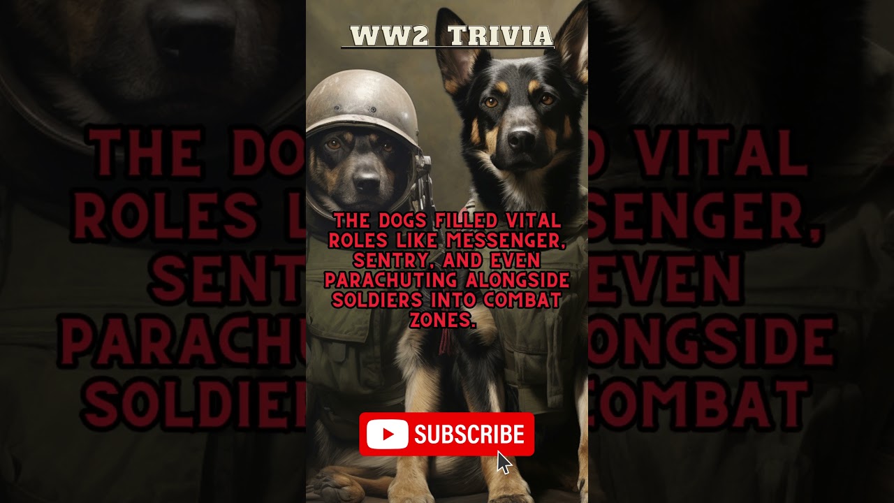 Dogs at war: The Cutest Heroes of World War 2