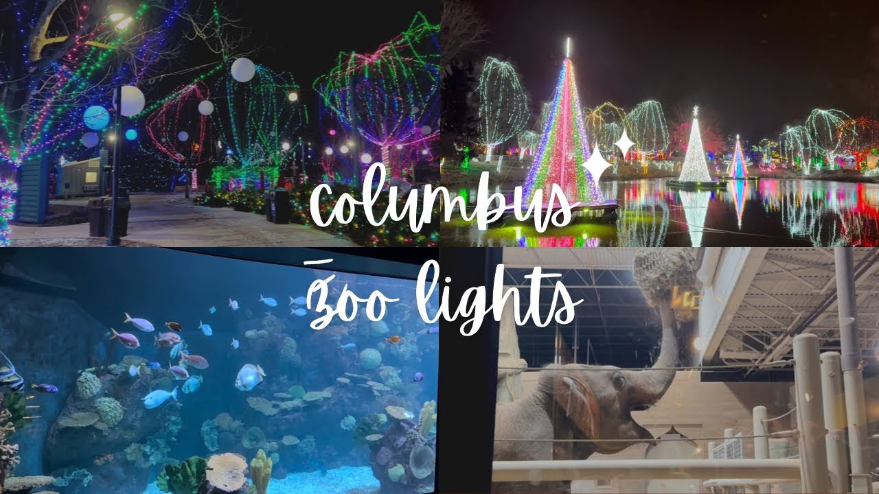 Going to see lights at a ZOO AND AQUARIUM! Columbus Zoo Lights VLOG